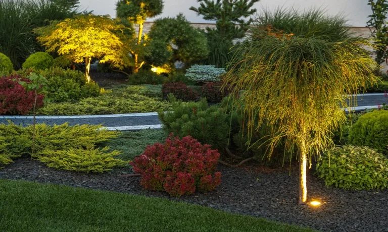 Landscape Lightning- San Antonio Design Scapes