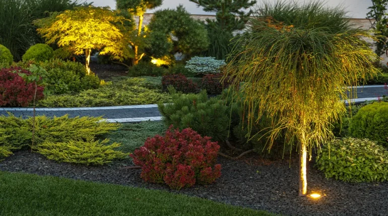 Landscape Lightning- San Antonio Design Scapes
