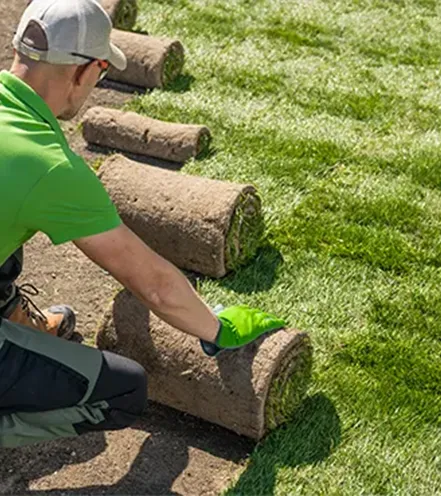 Landscape Design & Installation in San Antonio - Design Scapes