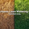 When Can I Water My Lawn in San Antonio?