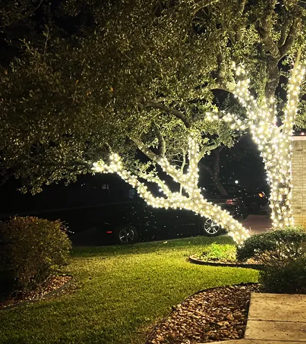 Bring Your Property to Life This Holiday Season