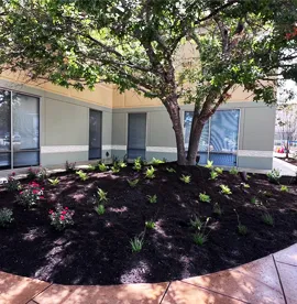 Commercial Landscaping Services in San Antonio