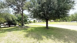 Home One 7 5 Reasons You Should Trim Your Trees Regularly