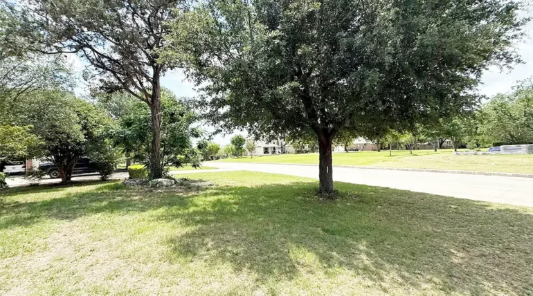 5 Reasons You Should Trim Your Trees Regularly