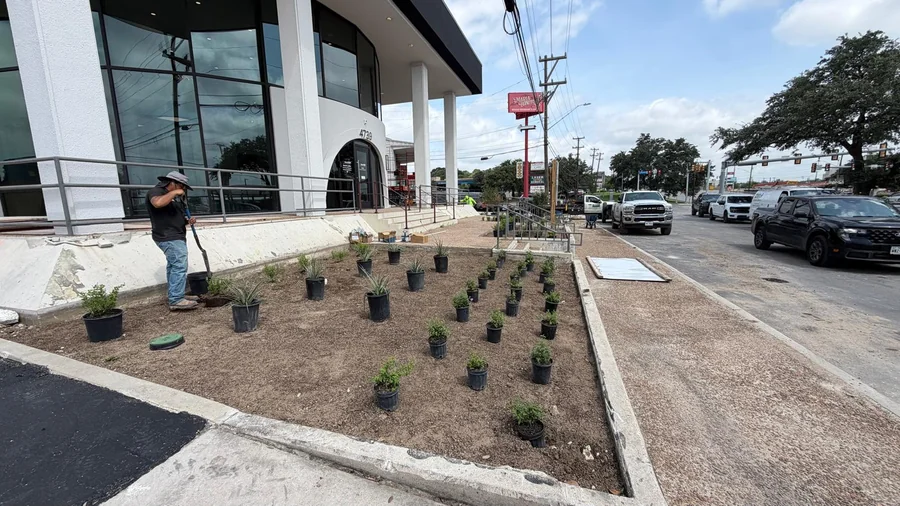 What Belongs in an Apartment Grounds Maintenance Contract? A San Antonio Scope Template 4 Container shrubs staged along a new walkway, the kind of scope detail an apartment grounds maintenance contract should specify