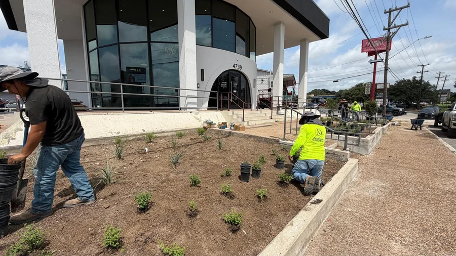 Design Scapes crew planting shrubs in a prepared bed on a San Antonio commercial property