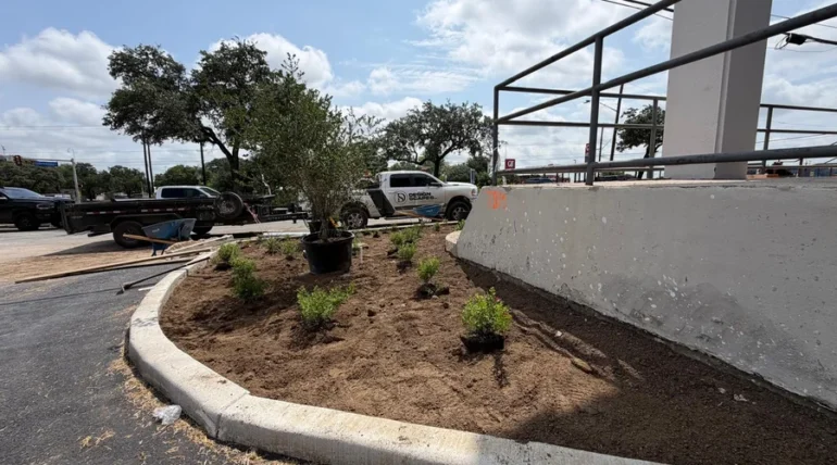Landscaped parking lot island with trees and shrubs at a San Antonio commercial property