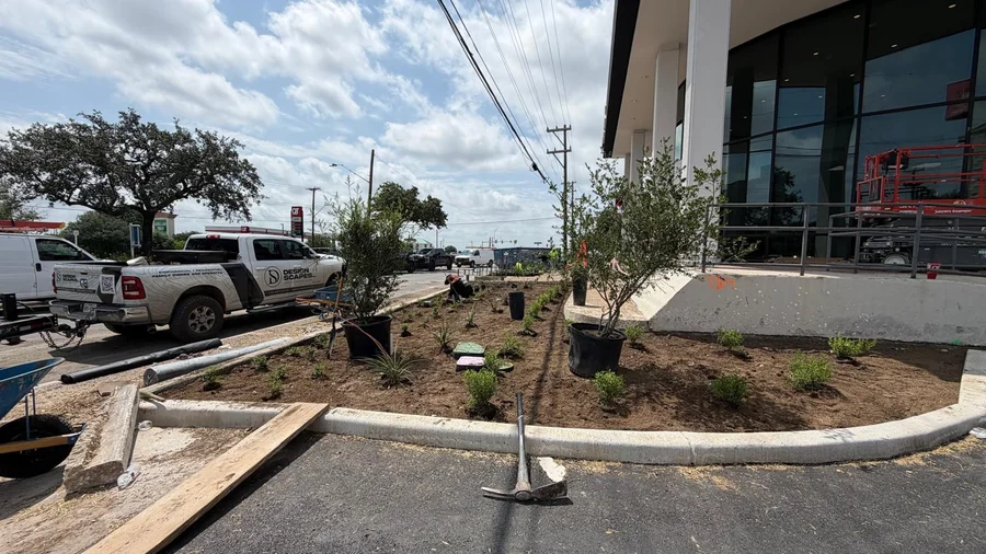 Entrance beds and young canopy trees at a San Antonio commercial building, part of a full-year office park grounds maintenance program