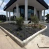 Planted entrance island and canopy trees at a San Antonio commercial building