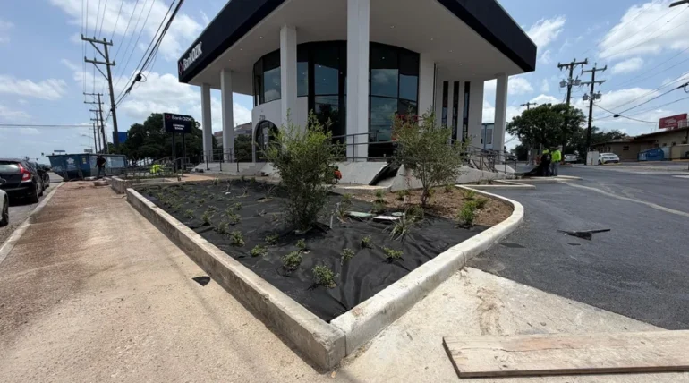 Planted entrance island and canopy trees at a San Antonio commercial building