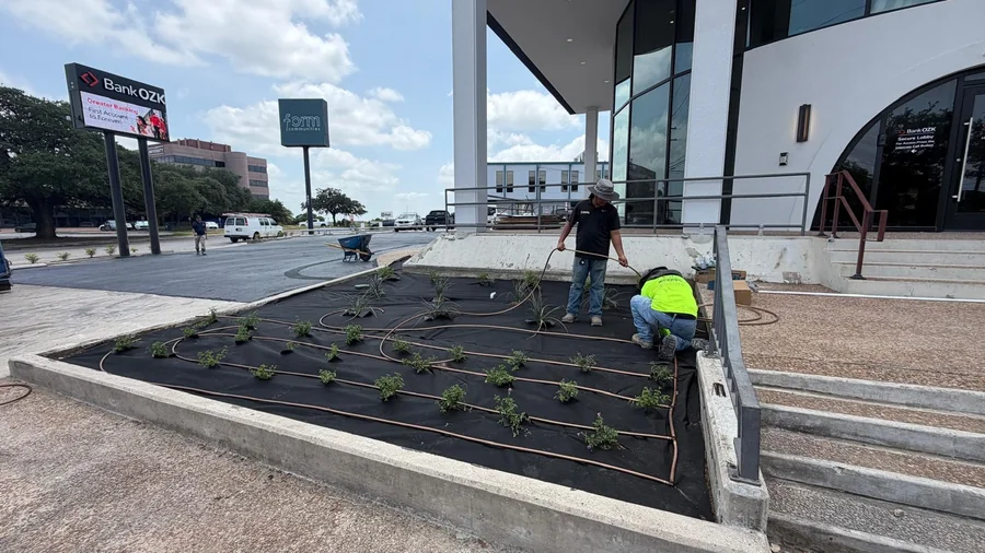 Design Scapes crew installing a landscape bed at a San Antonio commercial building