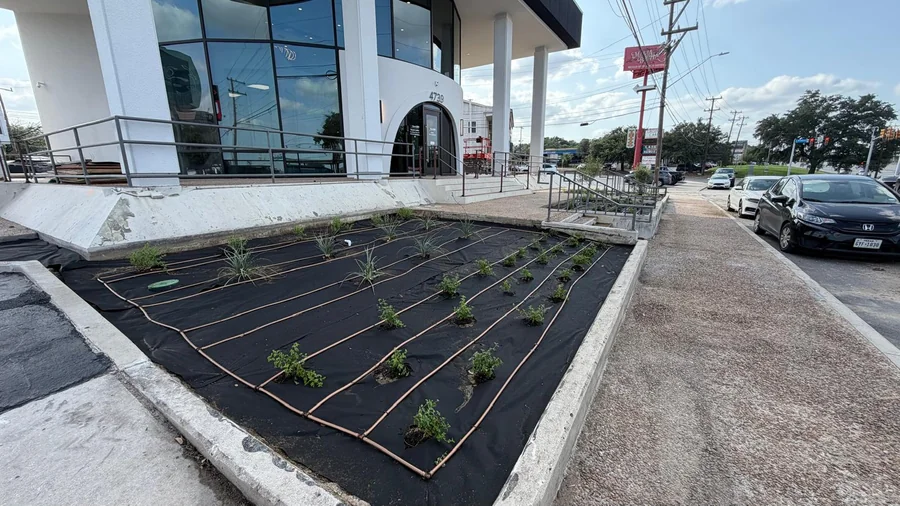Drip irrigation lines laid through a new commercial planting bed in San Antonio, installed to run within SAWS Stage 2 commercial watering rules