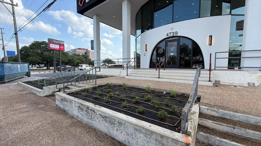 Freshly planted landscape bed with drip irrigation along a San Antonio commercial building