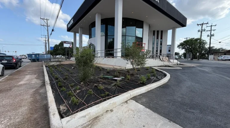 Landscaped entrance bed with young trees at a San Antonio commercial building