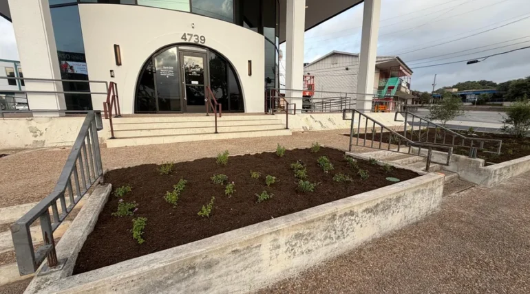 Newly planted entrance bed at a San Antonio commercial building